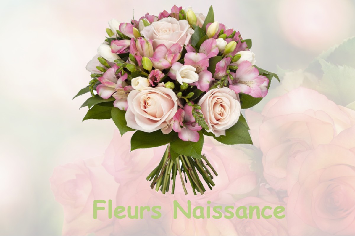 fleurs naissance POUCHARRAMET