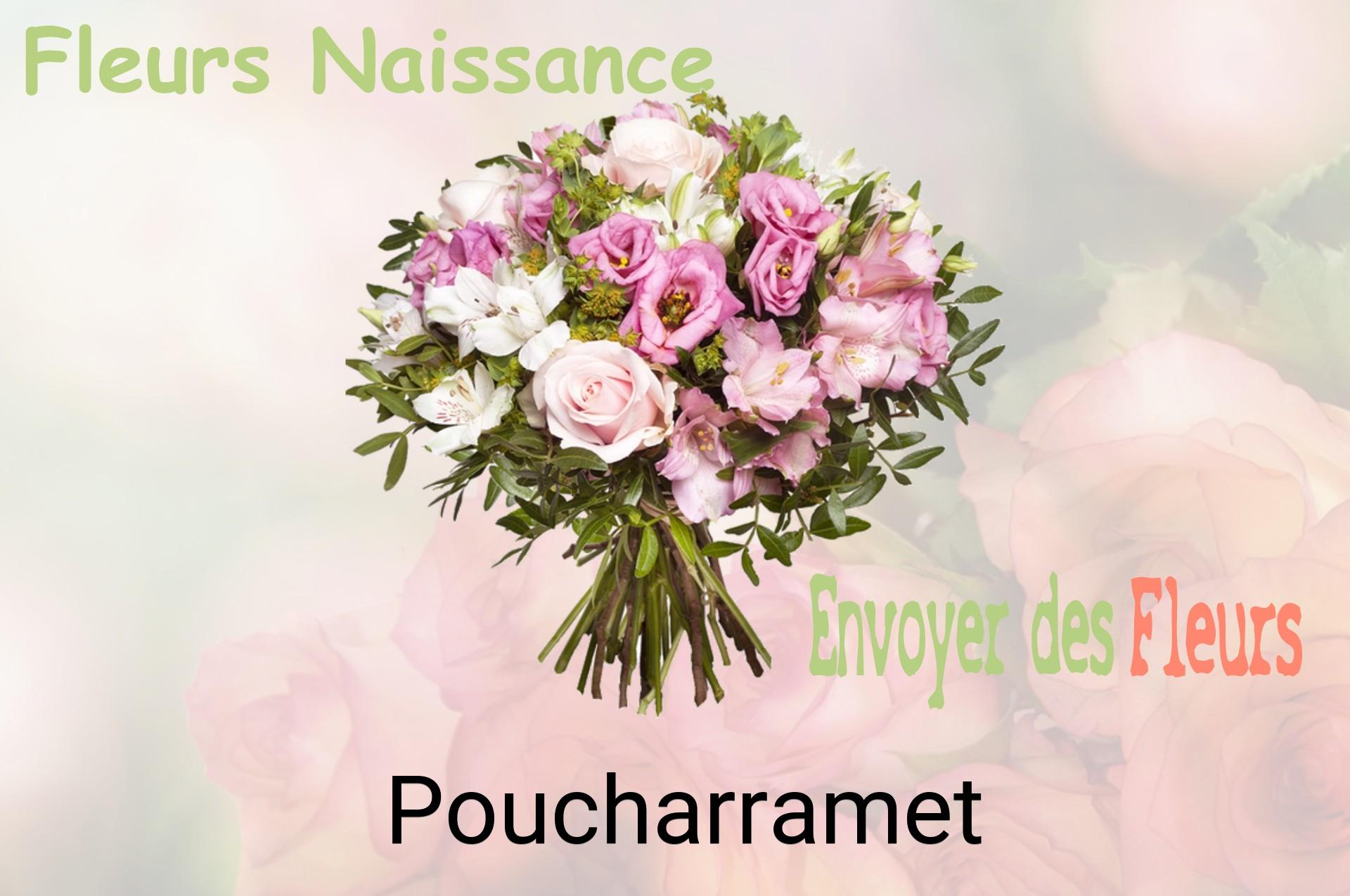 Bouquet de fleurs de naissance livré à Poucharramet