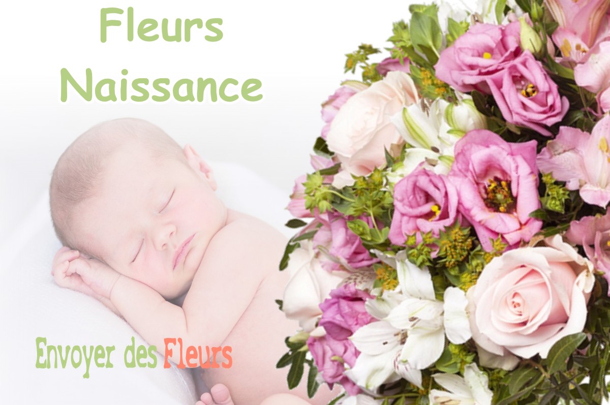 lIVRAISON FLEURS NAISSANCE à POUCHARRAMET